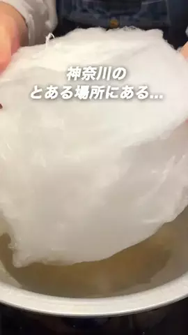 Nachi | 神奈川の地元を巡る人のTikTok投稿