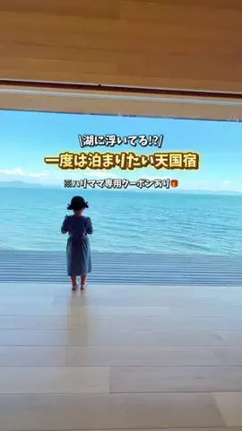 ハリママのTikTok投稿