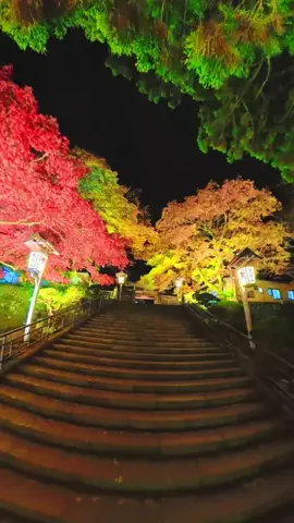 Nachi | 神奈川の地元を巡る人のTikTok投稿