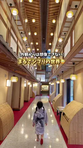ハリママのTikTok投稿