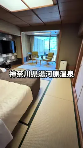 日本グルメのTikTok投稿