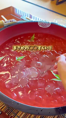 ハリママのTikTok投稿
