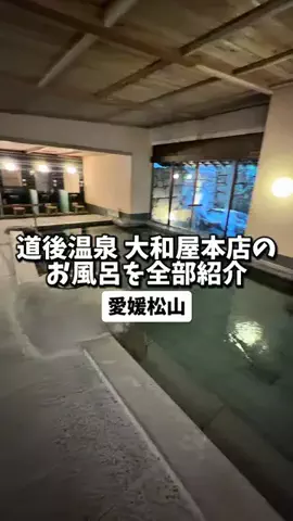 日本グルメのTikTok投稿