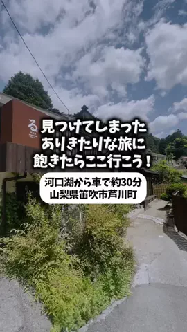 日本グルメのTikTok投稿