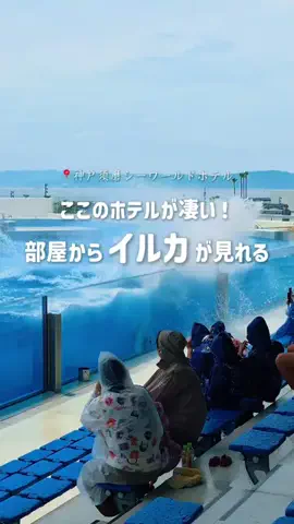 ホテルお得情報 🕵🏻‍♂️🔎  |  全国のTikTok投稿