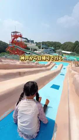 ハリママのTikTok投稿