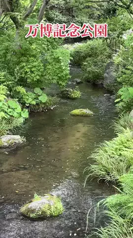 travel_diary_kouchanのTikTok投稿