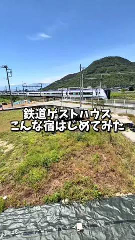 日本グルメのTikTok投稿