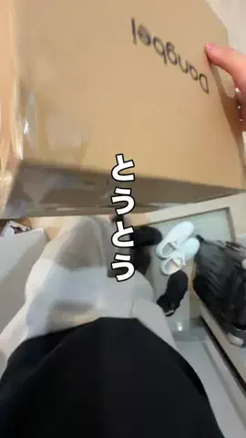 いいもの図鑑のTikTok投稿