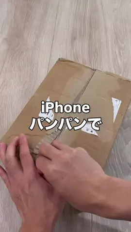 いいもの図鑑のTikTok投稿