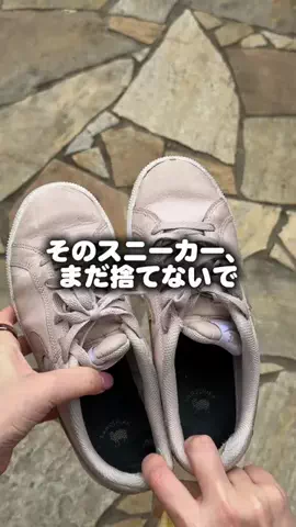 どらちゃんのTikTok投稿