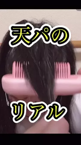 キラリンwithハチワレ猫🐈🐈のTikTok投稿