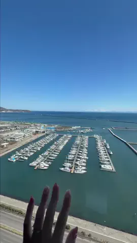 しゃま ✈️ ⁑ travelerのTikTok投稿