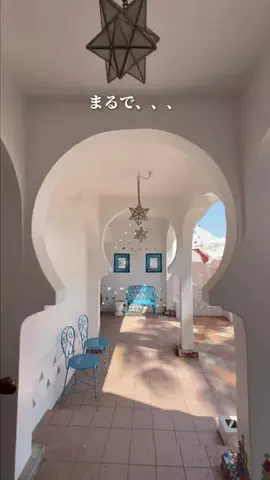 しゃま ✈️ ⁑ travelerのTikTok投稿