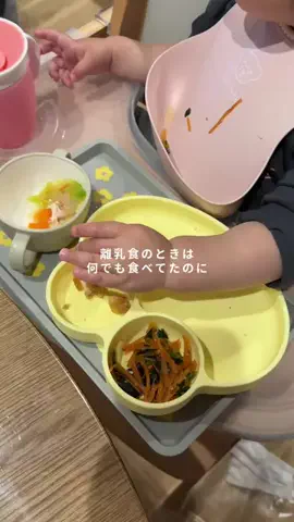 𝘬𝘺𝘰𝘴𝘩𝘪𝘬𝘢🌿育児vlogのTikTok投稿