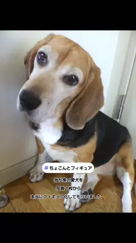 さえきあきひろまるのTikTok投稿