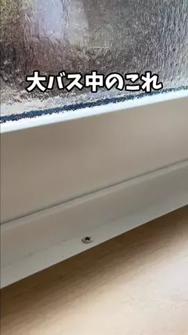 yuriのTikTok投稿