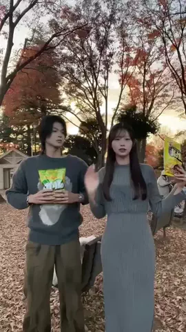 ぽちとピクミンのTikTok投稿