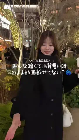 ぽちとピクミンのTikTok投稿