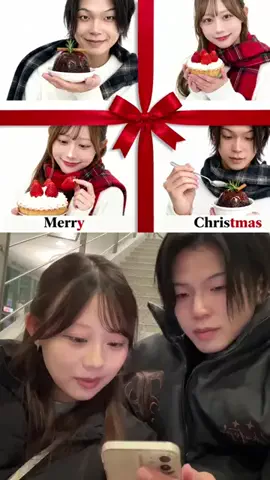 ぽちとピクミンのTikTok投稿
