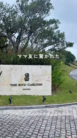 Haku kale 🥬のTikTok PR投稿：Click the Green 🟢Button on the video to book the hotel#PR #TikTokGO #japan…