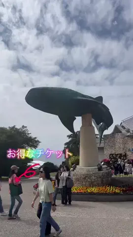 LittleBamboo.lsのTikTok投稿