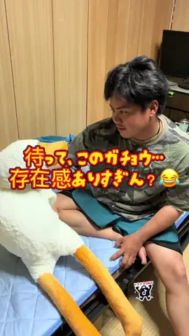 YURIのTikTok投稿