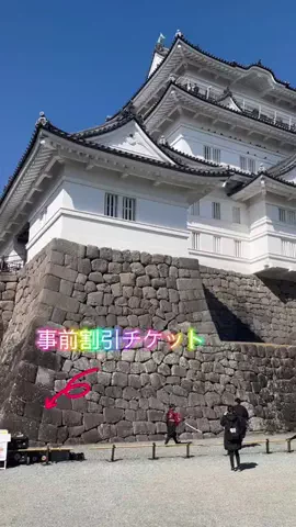 LittleBamboo.lsのTikTok投稿