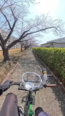 チャリくっく🚴🍳のTikTok投稿