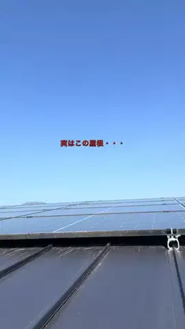 Raiga/homeのTikTok投稿