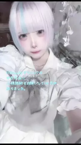 ぺろのTikTok投稿
