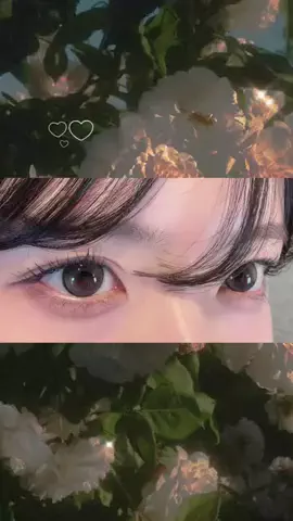 いぬねこᴖ ̫ᴖのTikTok投稿