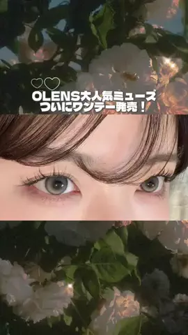 いぬねこᴖ ̫ᴖのTikTok投稿