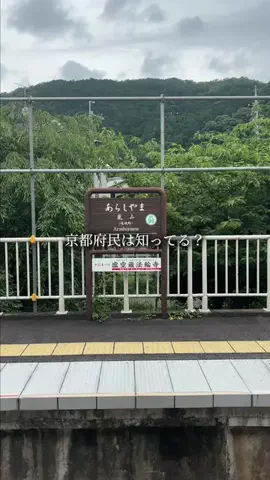 京都グルメ／KYOTO SELECTのTikTok投稿