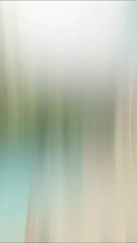 【公式】下呂温泉ホテルくさかべアルメリアのTikTok投稿