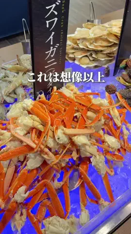 ころたびのTikTok投稿