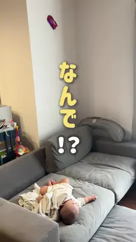 めいのTikTok投稿