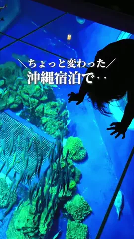 ころたびのTikTok投稿