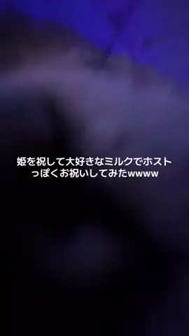 彼女(猫)の幸せが僕の幸せのTikTok投稿
