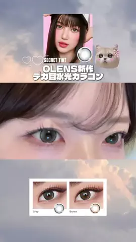 いぬねこᴖ ̫ᴖのTikTok投稿