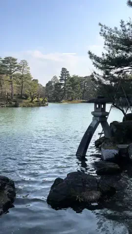 さき^._.^♡のTikTok投稿