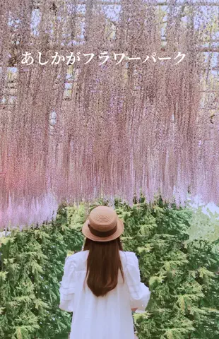 tetoのTikTok投稿