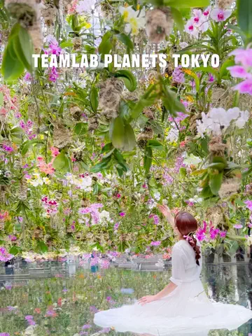 tetoのTikTok投稿