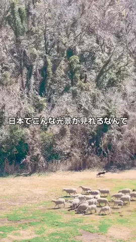 tetoのTikTok投稿