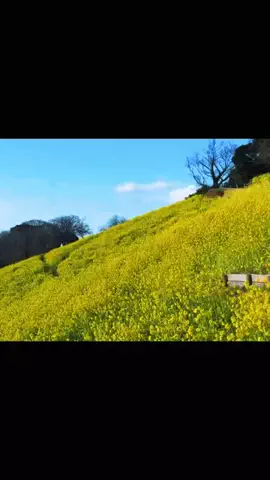 そら 🫧ྀིのTikTok投稿