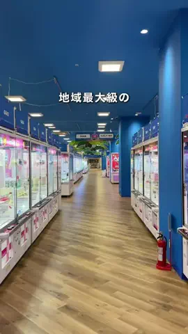千葉県お出かけスポット🚗💨すずのTikTok投稿