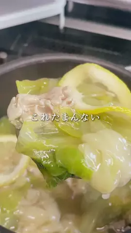 のっち🌙夜食堂やってますのTikTok投稿