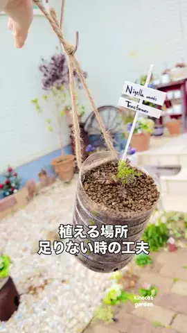 きの子　（小さな庭・DIY）のTikTok投稿