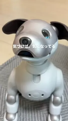 ゆるりこ 関西おでかけのTikTok投稿