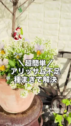 きの子　（小さな庭・DIY）のTikTok投稿